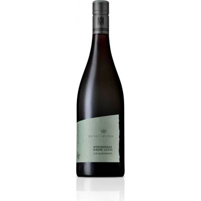 Weingut Am Stein Rulandské modré červené 2022 12,5% 0,75 l (holá láhev)