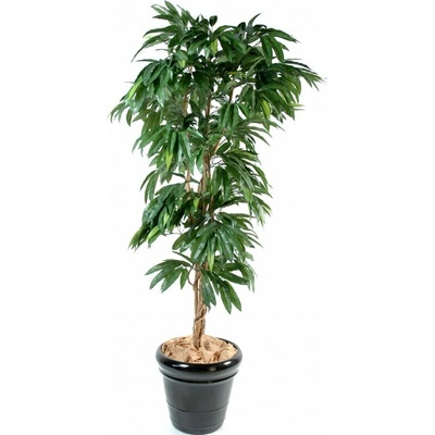 Umelý strom Mango - prírodný kmeň, 180cm