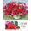 Collection D'Art Collection D`art - Диамантен гоблен - Букет от макове (DE4605)