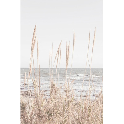 Plagát, Obraz - Beach_Vass_001, Studio Collection, 26.7 × 40 cm