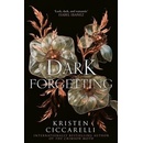 Dark Forgetting