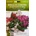Hortus Импатиенс двоен Микс Impatiens balsamina