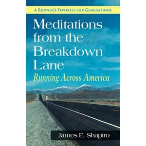 Meditations from the Breakdown Lane | James E. Shapiro (ISBN: 9781635618525)