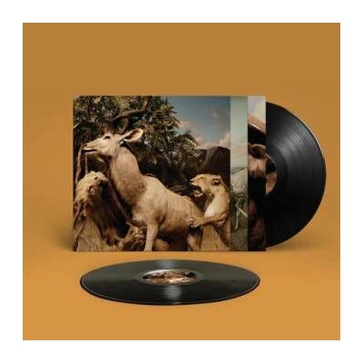 2 Interpol - Our Love to Admire LP