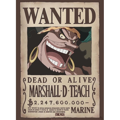 GB eye Мини плакат GB eye Animation: One Piece - Blackbeard Wanted Poster (GBYDCO267)