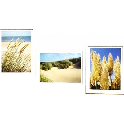 Bondecor Sada obrazů Grass 42 x 98 cm