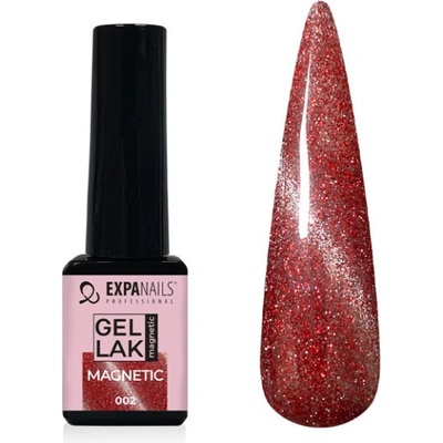 Expa Nails Gel lak Magnetic No.2 glitter 5ml