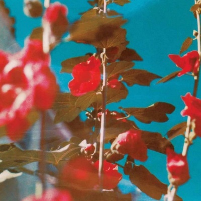 LAWSON, CHAD - BREATHE LP