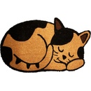 Home Elements Mačacia Hlava béžová 43 x 73 cm