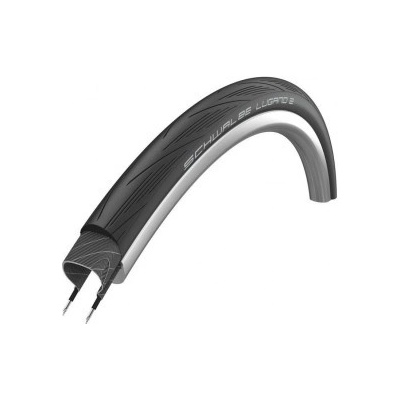 Schwalbe Lugano II -23-622