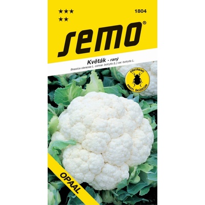Karfiol jarný 'Opaal' 25 s