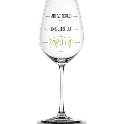 Nekupto Vtipná sklenice na víno s potiskem Ani se neptej… 440 ml