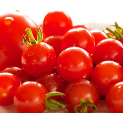 Divoká paradajka Rote Murmel - Solanum pimpinellifolium - semená - 10 ks