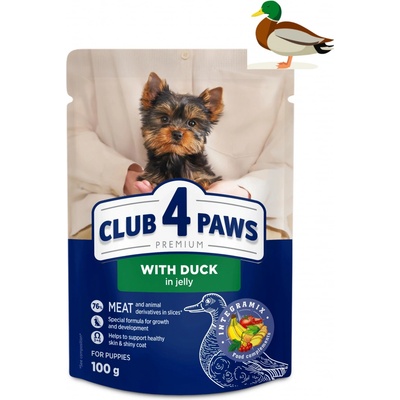 Club4Paws Premium Puppy Mini S kachním v želé 100 g