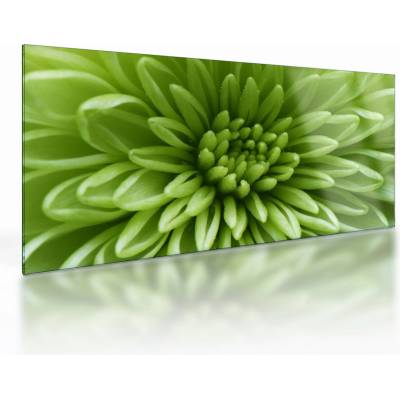 Sklenený obraz - Makro snímka rastliny, jednodielne 100x50 cm na skle