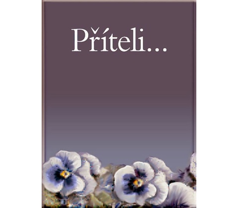 Příteli