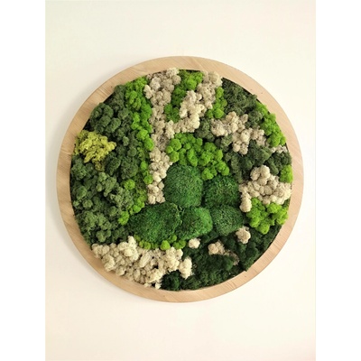 Mechový obraz kruh- průměr 80cm