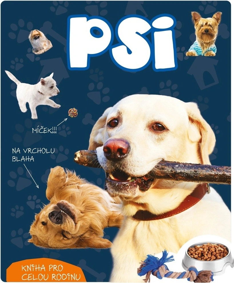 Psi