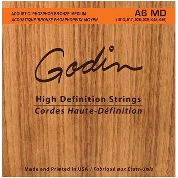 Godin Strings Acoustic Guitar MD
