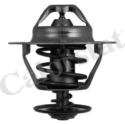 Termostat, chladivo CALORSTAT by Vernet TH6319.82J