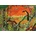 Pieces & Peace - Puzzle Toucan Ariel - 1 000 piese