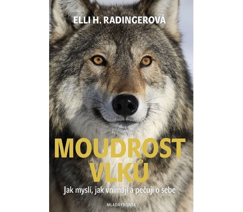 Moudrost vlků