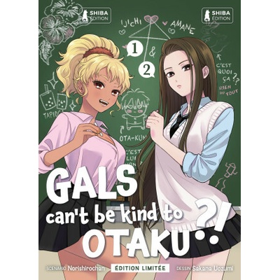 Gals can't be kind to Otaku ?! Ecrin Collector T1 et T2