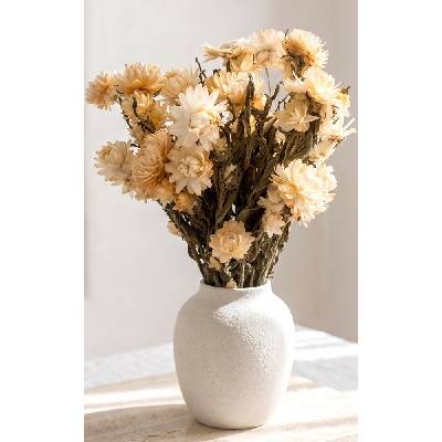 Helichrysum, slaměnka krémová, svazek 90g-95g