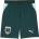 PUMA Mens Austria Away Short World Cup 2026 - Green/Mint