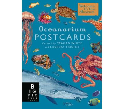 OCEANARIUM POSTCARD BOX SET