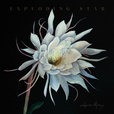 Maloney Heather Exploding Star 1 LP
