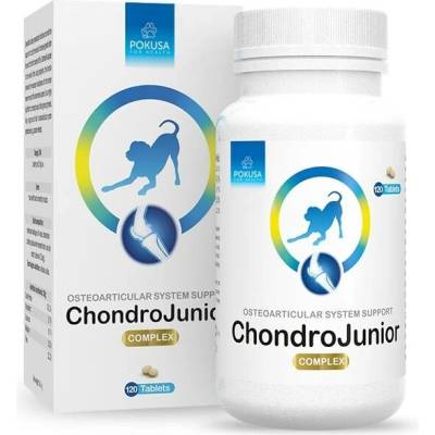 Pokusa ChondroLine ChondroJunior 120 tab.