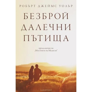 Безброй далечни пътища (2021)