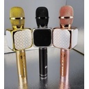 Karaoke mikrofon WS 858