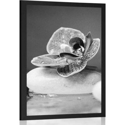 Plakát Zen kameny a orchidej v černobílém provedení - 20x30 no frame