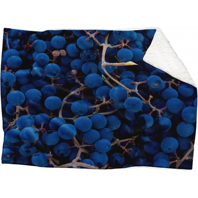 Impar fleece deka Víno Podšití beránkem ANO 150x120