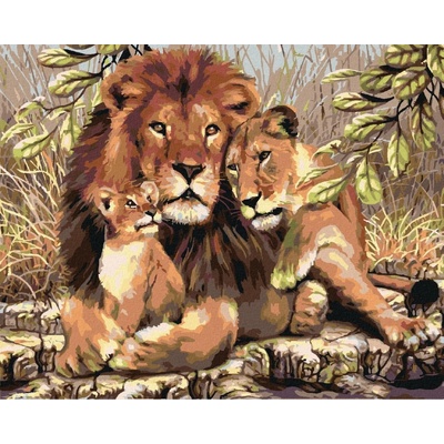 Zuty Malování podle čísel Lev s lvicí a lvíčetem 50 x 40 cm vypnuté plátno na rám