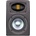 EVE audio EXO 25