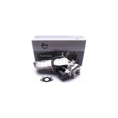 SKV EGR ventil BMW X3 (F25) X4 (F26) X5 (F15) X6 (F16) 2.0–3.0d