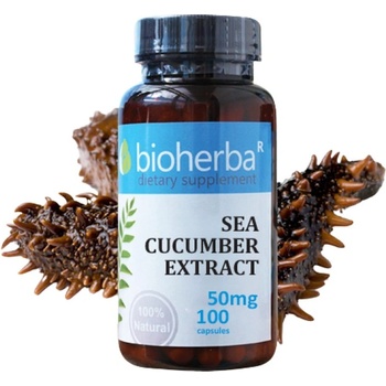 Image 1 of Bioherba Sea Cucumber Extract 50 mg [100 капсули]