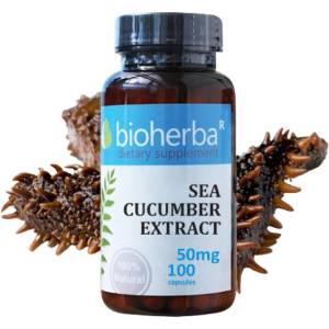 Bioherba Sea Cucumber Extract 50 mg [100 капсули]