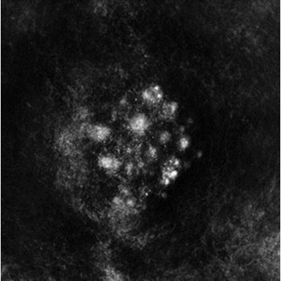 Synecdoche - SaffronKeira CD