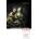 Cranford Collins Classics - E. Gaskell