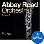 Spitfire Audio Abbey Road Orchestra: Flutes Professional (Дигитален продукт)