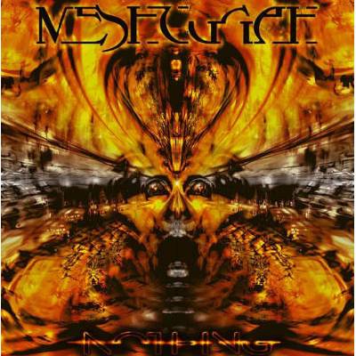 Meshuggah - Nothing Clear LP