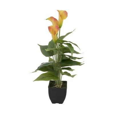Mini kala, žluto-oranžová, 43 cm