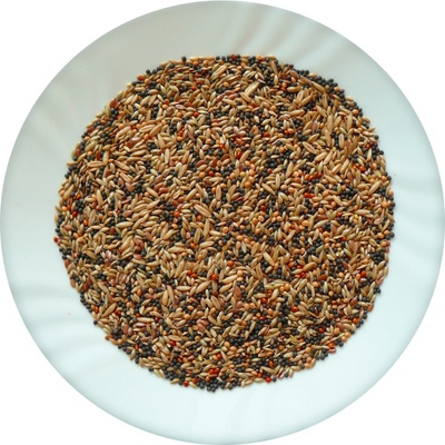 Avicentra Classic Kanár 5 kg