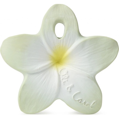 Oli&Carol mini Hawaii the Flower