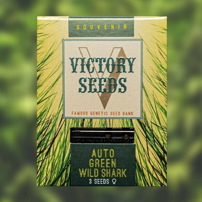 Victory Seeds AUTO Green Wild Shark semena neobsahují THC 5 ks