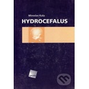 Hydrocefalus